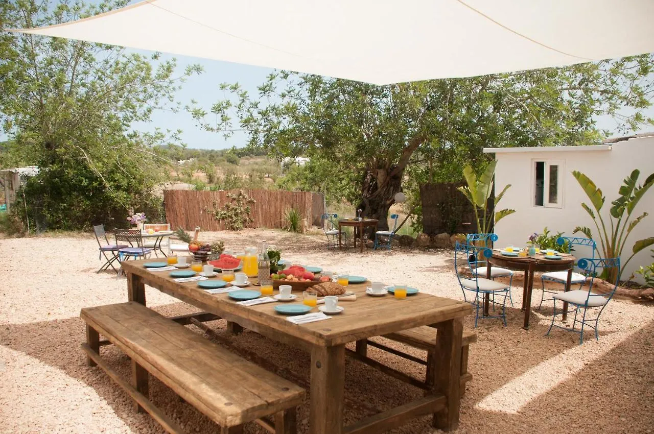 Finca Can Rosa Ibiza, Private Pool, 10 Minutes From The Beach Santa Gertrudis  Villa Santa Gertrudis (Ibiza)